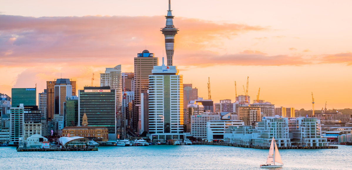 Read more about the article New Zealand: Export opportunities nearby